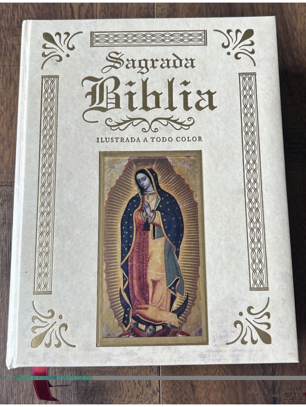 Sagrida Biblia  Oceano Ilustrada A Todo Color *writing  on 1 Pg, SEE Pics RARE